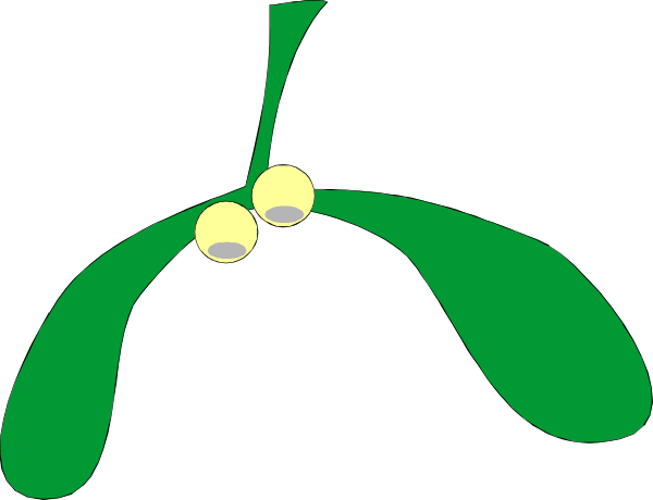The image shows a simple cartoon of two green leaves with yellow berries on them against a black background.