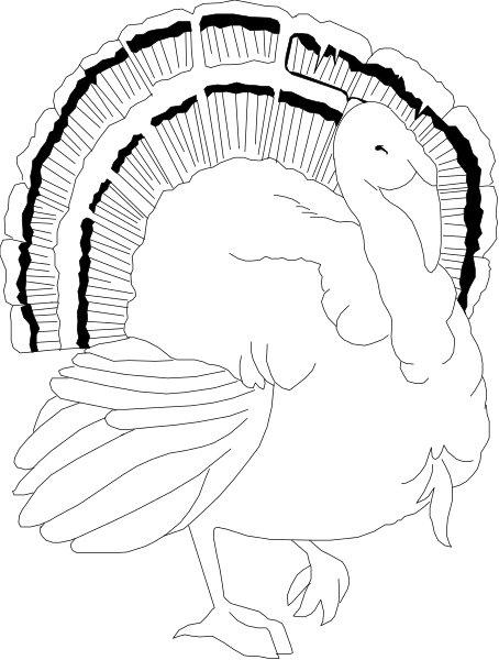 The image shows a black screen with white stripes of varying widths creating an abstract pattern that resembles blindness in one eye due to cataracts.