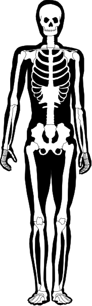 The black and white silhouette of a skeleton standing upright with its arms outstretched against a striped background.