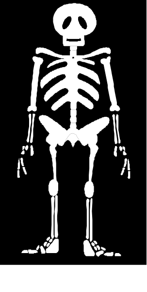 The black and white silhouette of a skeleton standing upright against a dark background with no other discernible elements present in this small clip-art image.