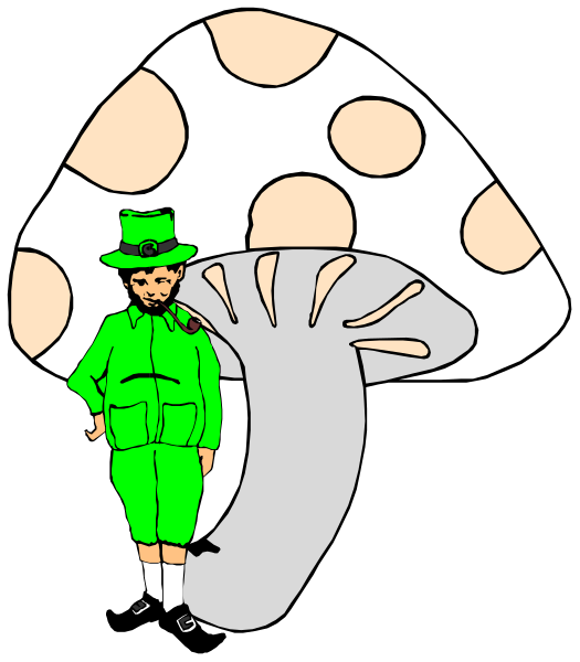 The image features a cartoon of an Irish soldier standing next to a mushroom with spots that resembles a hat on top.