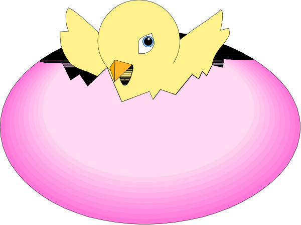 The image shows two birds sitting on pink circles against a black background with white borders around them.