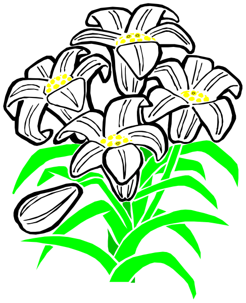 The black and white illustration shows a bunch of daffodils with green stems growing from them against a dark background.