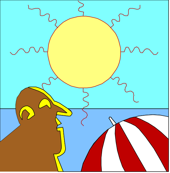 The comic strip shows a man standing under an umbrella on a beach with his back to us looking at the sunset in one panel; he is smiling as if enjoying it. In another panel, there's no text but we see him again from behind facing away and now frowning or displeased by something off-panel that has caused him distress.
