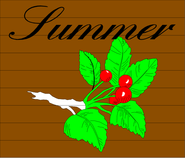 The image shows a sign with text that reads "Summer" at top left corner of an illustration featuring red berries on green leaves in front of brown wooden planks against which there is also a small black silhouette resembling a bird, all set within what appears to be the outline or shadow of another object.