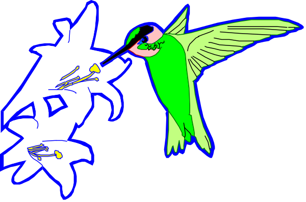 The image shows a colorful parrot with an open beak next to graffiti that includes text "BK" in stylized fonts on what appears to be a wall surface.