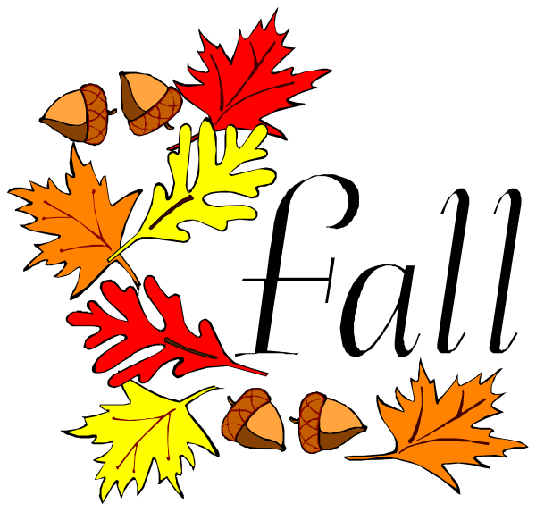The image shows a black background with colorful autumn leaves arranged to form an abstract design that resembles a letter "S".
