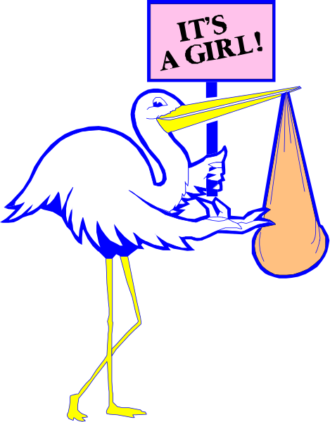 The image shows a cartoon of an ostrich holding a sign that reads "It's A Girl" with another smaller bird sitting on its head; there is also a stork carrying a baby in front, and below them all, there appears to be a small orange object resembling the moon.