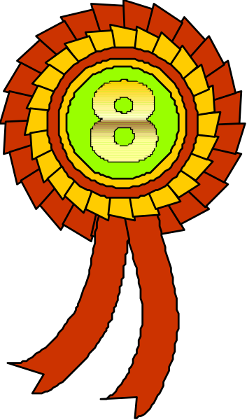 The image shows a colorful ribbon with numbers on it attached to an award badge that has red borders around its edges.