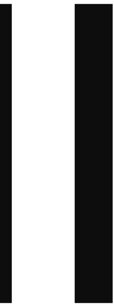 The image shows a black and white pixelated representation of two vertical lines with horizontal stripes between them on what appears to be a gray background.