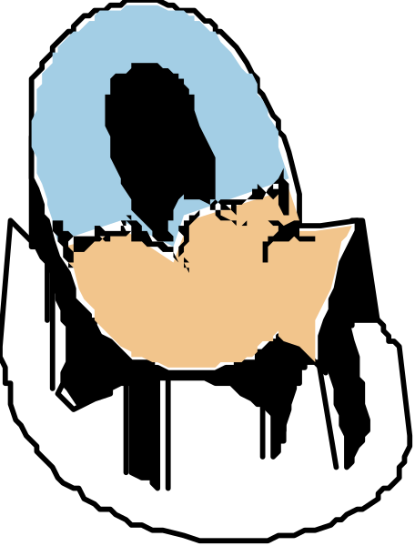 The image shows a cartoon of an orange cat with blue eyes peeking out from behind what appears to be a black object that resembles a bird's head; there is also a small white circle on top left corner, and it seems like this could represent some sort of logo or emblem.