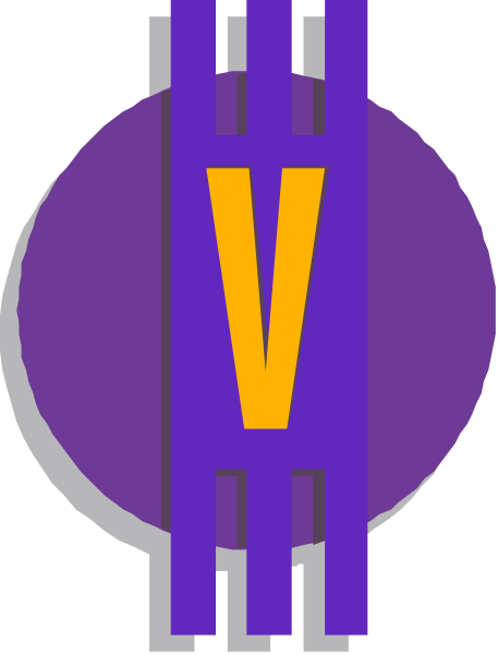 The logo features a purple circle with an abstract design inside it on top of which there is another smaller blue rectangle containing white text that reads "V".