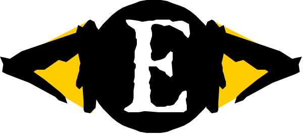 The logo of a company with an eagle's head on top and text below it that reads "FE".