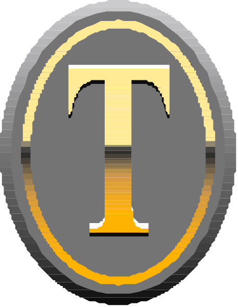 The logo of a company with an "i" inside it on top of what appears to be a shield-like design in gold coloring against a dark background.