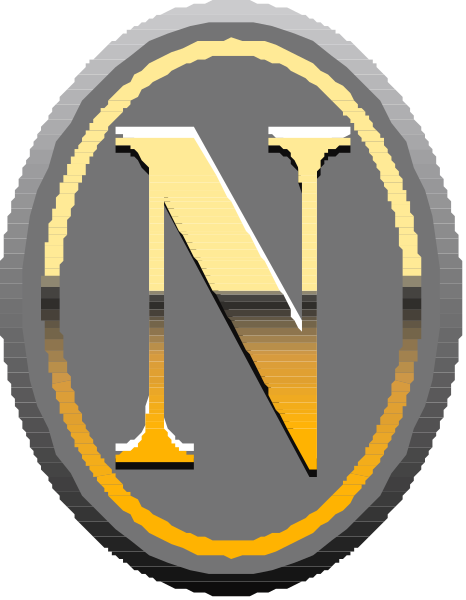 The logo of a company with an "N" inside it on top of what appears to be a shield-like design.