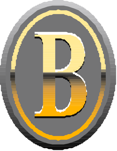 The logo of a company with an emblem that resembles a shield containing three vertical bars on either side and two horizontal ones in between; above it is text reading "B" inside what appears to be a circle, suggesting branding for 'Brand'.