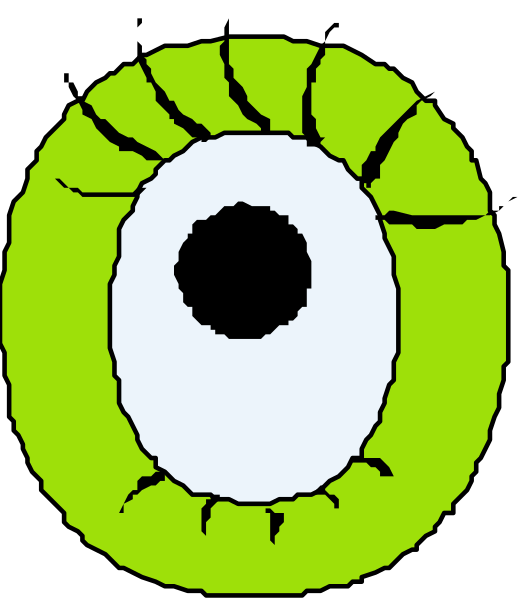The image shows a close up of an eye with eyelashes against a black background.