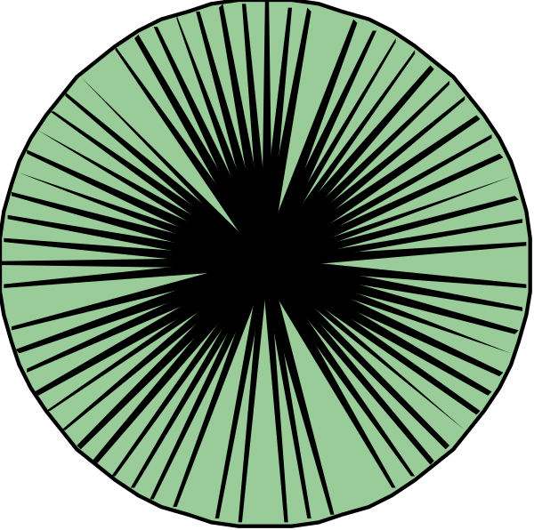 The image shows two black circles with concentric white lines creating a radial pattern inside them against a dark background.