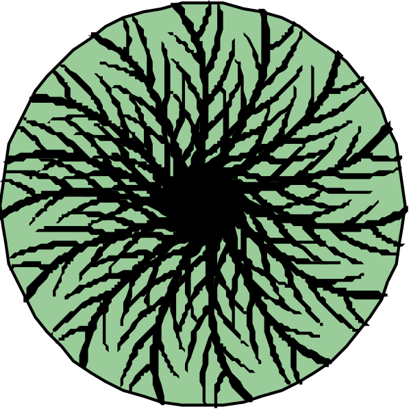 The image shows a black and white circular pattern with intricate designs resembling tree branches radiating from two central points towards an outer circle that has concentric lines creating a spiral effect in between them.