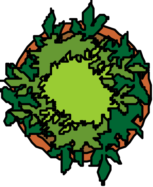 The image shows a stylized graphic of an orange with green leaves encircling it on what appears to be a black background.