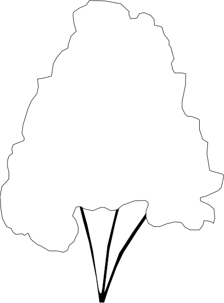 The image shows a black triangle with white lines forming an abstract shape that resembles a tree silhouette against a gray background.