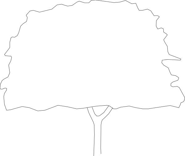 The image shows a black rectangle with white lines creating an abstract pattern within it.
