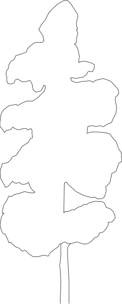 The image shows a black and white photo of two different scenes side by side with no visible textures on either surface; it's difficult to discern specific details due to low resolution.