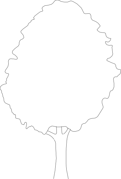 The image shows a black background with no discernible content to provide details about any of these elements as there is nothing visible in this clip-art representation.