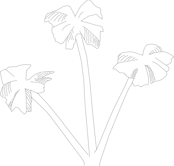The black background of a computer screen with white text that reads "Hello World!"