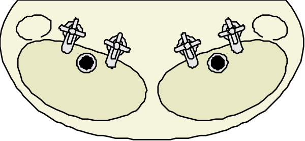 The image shows a cartoon of two fish with eyes on their heads swimming underwater next to each other.