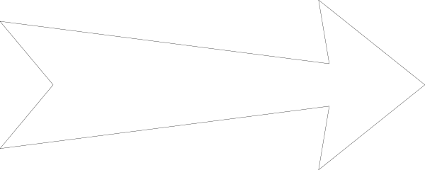 The image shows a black arrow pointing to its right side with white lines forming an abstract pattern around it on what appears to be a gray background.