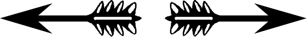 The image shows a gray background with two black lines forming an abstract shape that resembles a stylized bird flying over water.