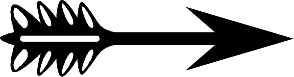 The image shows a black arrow pointing to an unidentified object on what appears to be a gray background with no other discernible details provided in this description.
