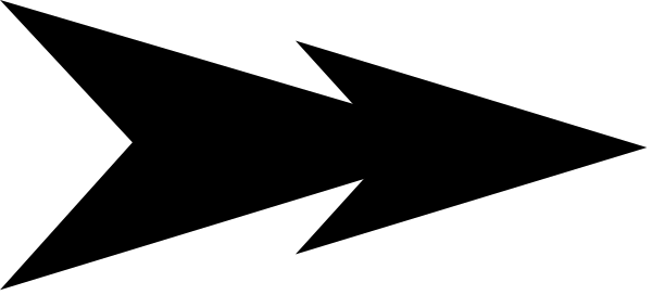 The image shows a black rectangle with white text inside it that reads "Pokémon."