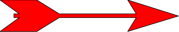 The image shows a red arrow pointing to its right with an accompanying black line on what appears to be a gray background.