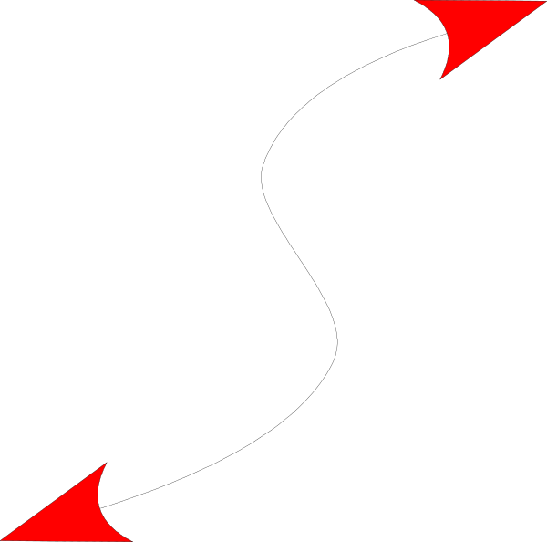 The image shows a black background with red lines forming an abstract pattern that resembles a stylized letter 's'.