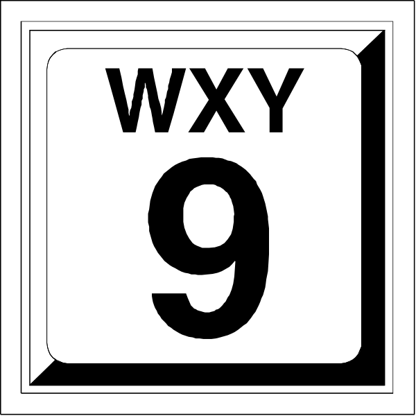 The image shows a license plate with "WXY" on it inside an oval shape against a white background at top left corner of the page.