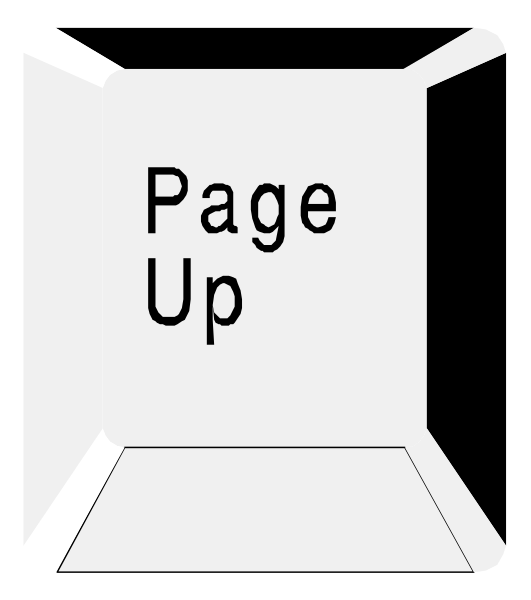 The image shows a popup notification with text that reads "Page Up."