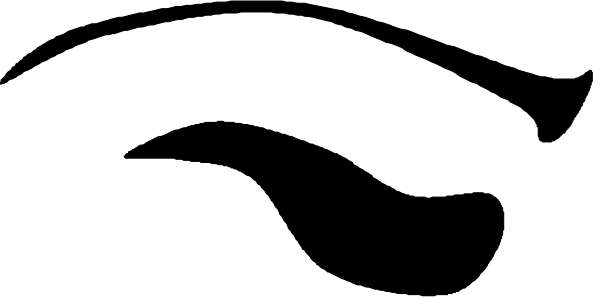 The image shows a black rectangle with white text inside it that reads "Welcome to my website."
