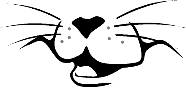 The image shows a black cat with white spots on its face against a gray background.