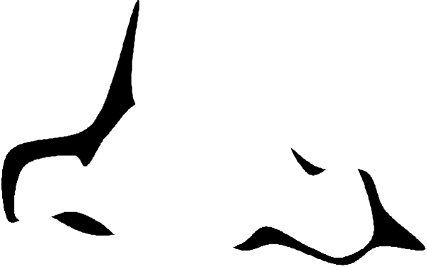 The image shows a black silhouette of an animal with two ears on top of its head against a white background.