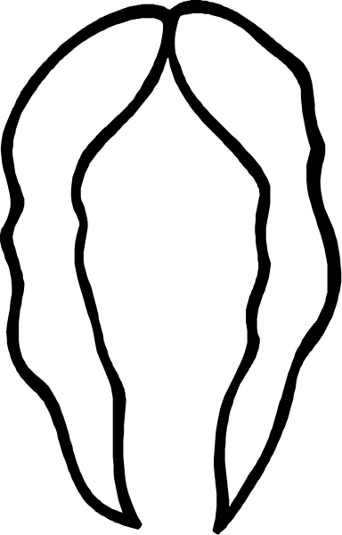 The image shows a black and white silhouette of an open book with pages that have various shapes on them against a gray background.