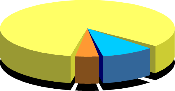 The image shows a pie chart with three slices: blue represents 10%, yellow is at 25% of its value, while red has no slice visible in this clip-art illustration set against an unseen background. There's also a small house icon on the right side and two people figures standing next to it. The pie chart appears to be related to some sort of data or survey results regarding housing preferences among these individuals.