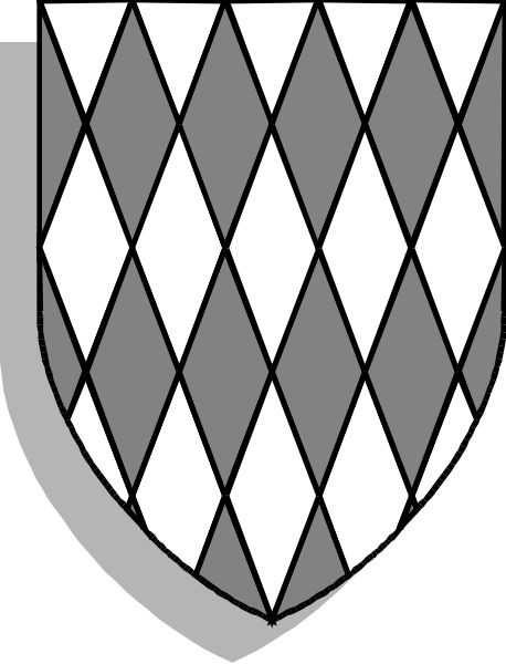 The image shows a shield with diamond patterns on its sides against a white background.