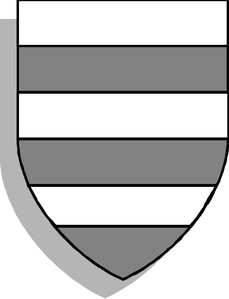 The image shows a shield with four quadrants: two gray ones on top left and right corners; bottom half is white in color.