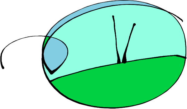 The image shows a cartoon of an insect with two antennae on its head flying over some grassy area under what appears to be blue sky background.