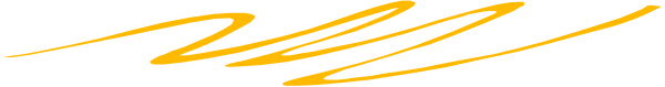 The image shows a logo with stylized text that reads "2019" on it against a gray background.