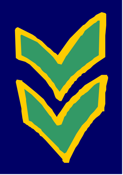 The flag of a fictional country with green stripes on either side featuring yellow stars within them against blue backgrounds.