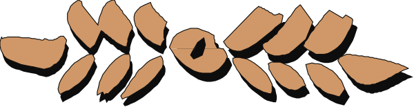 The image shows a row of orange leaves on top of each other against an indistinct background with no additional details provided about any possible context for their arrangement.