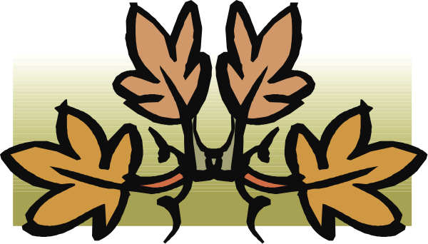 The image shows a stylized graphic of two maple leaves with an autumnal color palette against a white background.